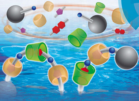 Chemical Society Reviews â 2015