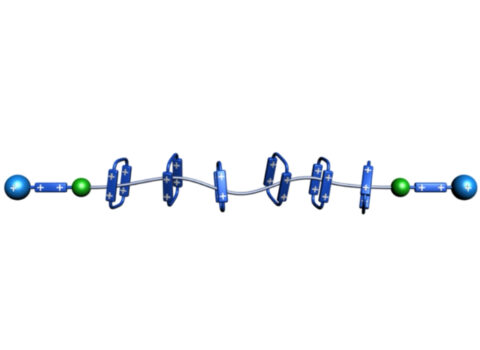 A Precise Polyrotaxane Synthesizer