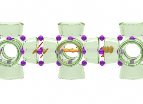 Photodimerization